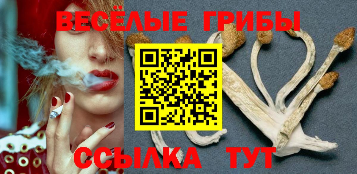 Псилоцибиновые грибы Magic Shrooms  где найти   Калуга  Вход с VPN 