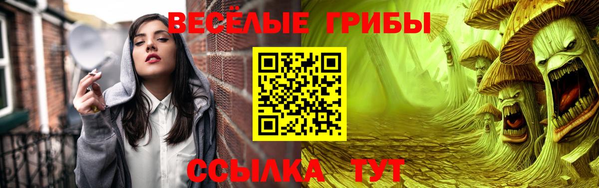 Псилоцибиновые грибы GOLDEN TEACHER Калуга